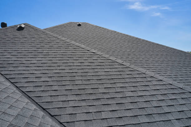 Best Roof Moss and Algae Removal  in Holland, TX